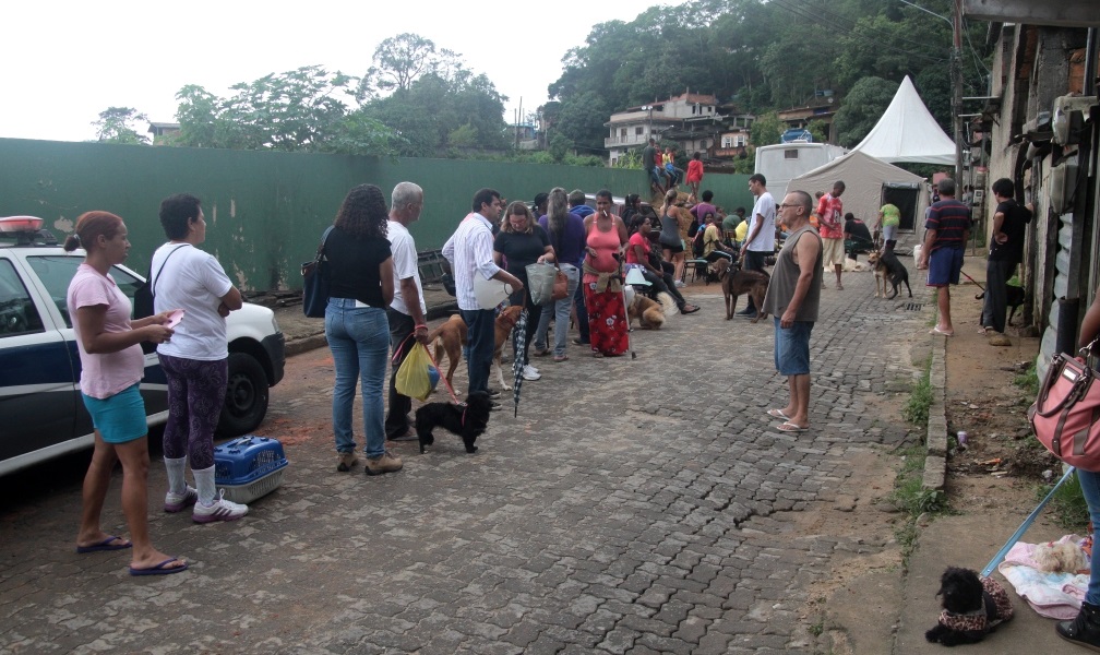 castração