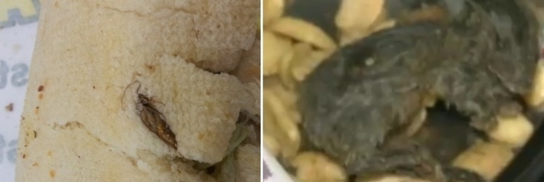 comida bichada