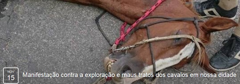 manifestação cavalo