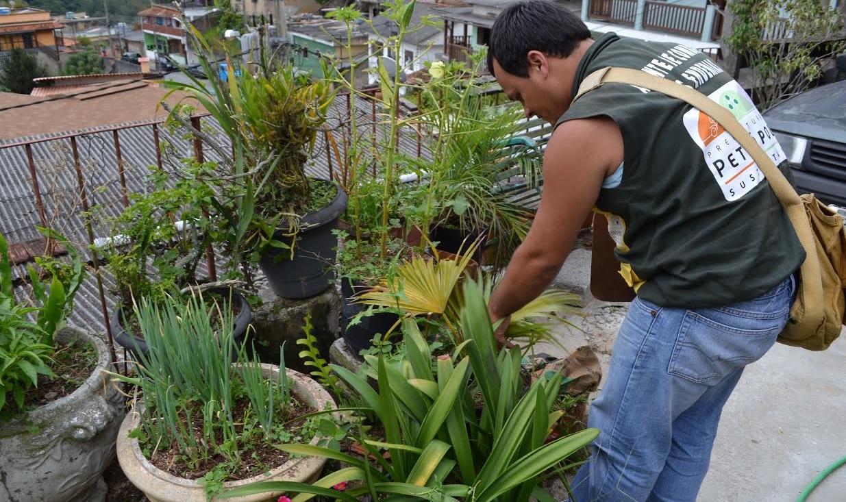 combate a dengue