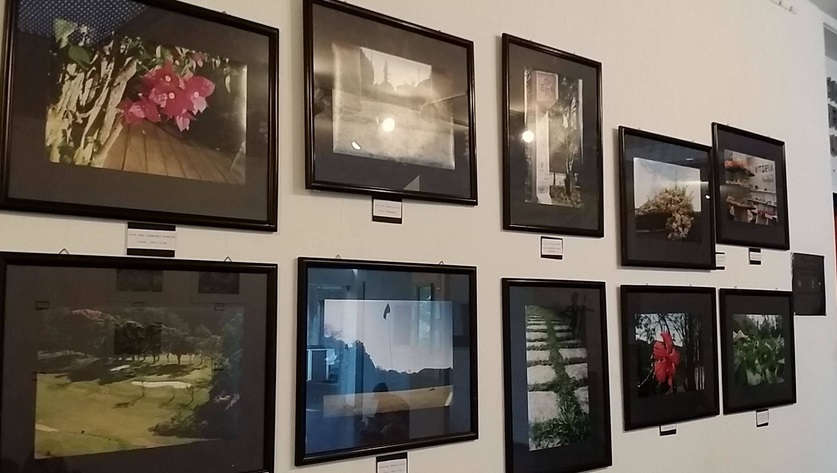 exposição