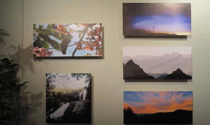 exposição