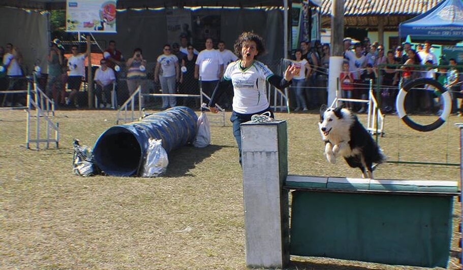 expo petropolis