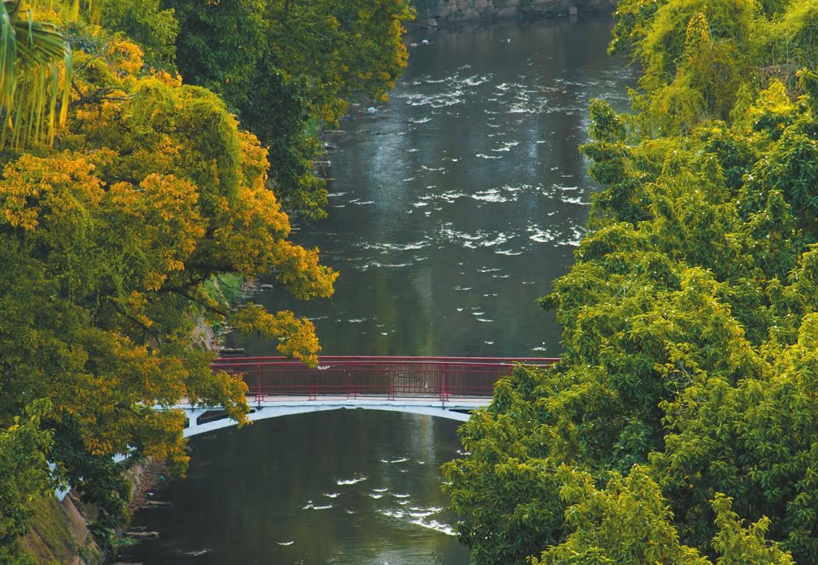foto do livro petrópolis e curiosidades