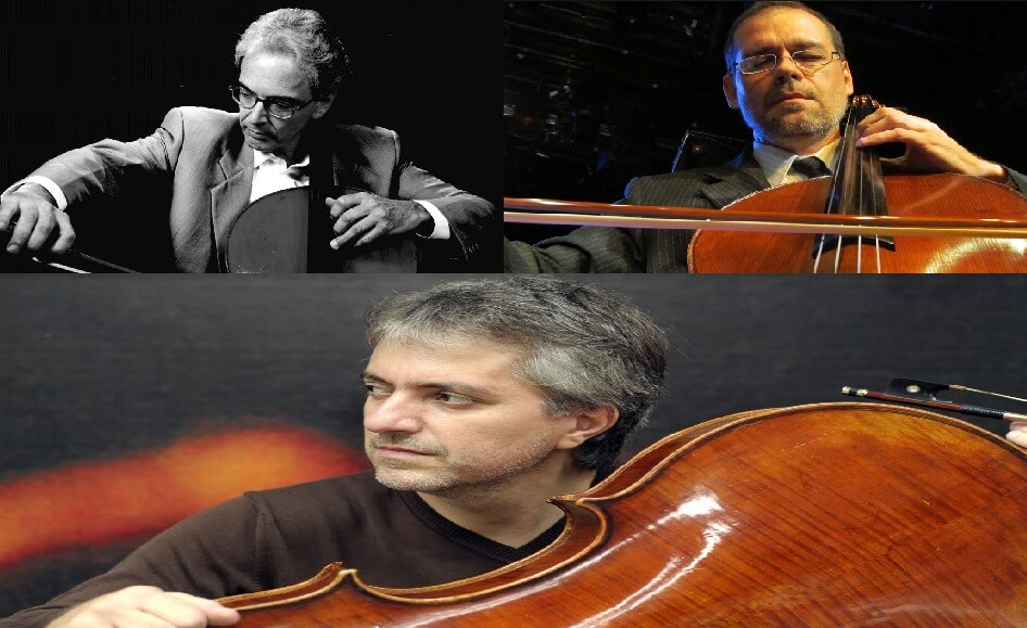 trio Cello Fest