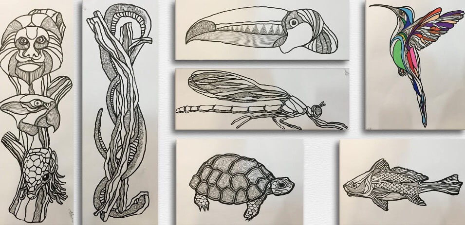 desenhos-edu-pessanha