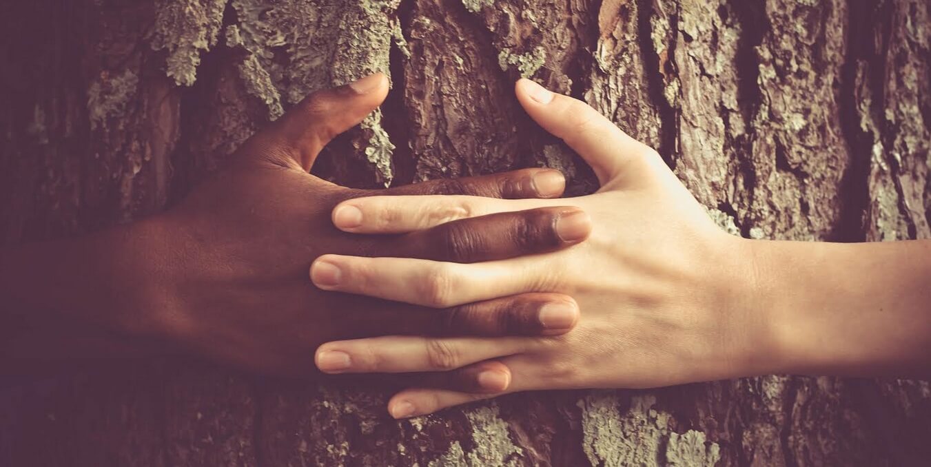 consciencia-negra