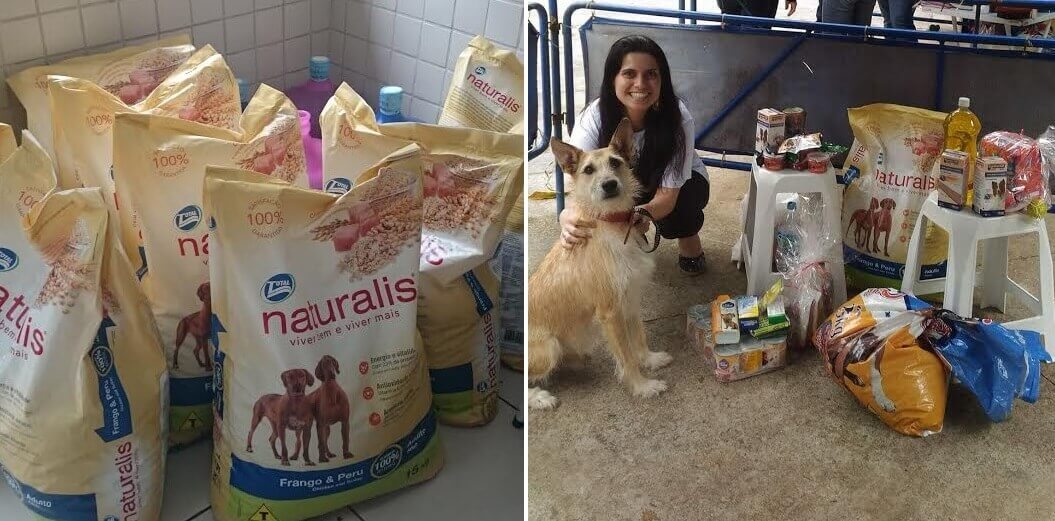 natal-animal