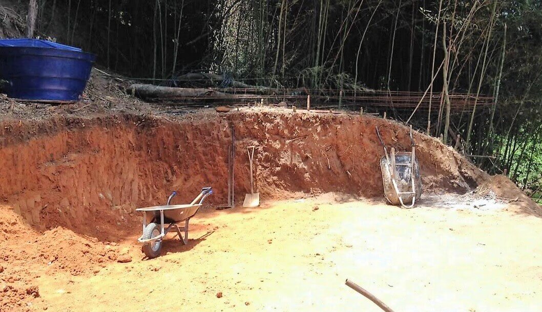crime ambiental samambaia