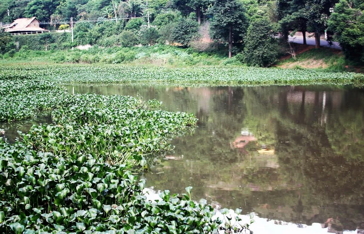 lago de nogueira
