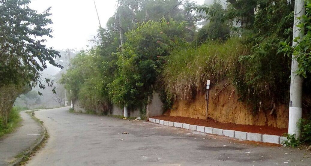 nogueira