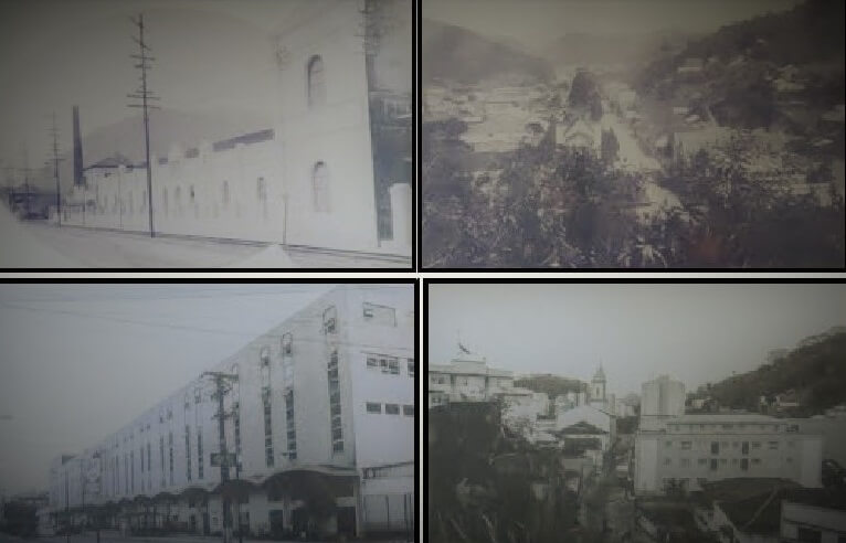 exposição nogueira